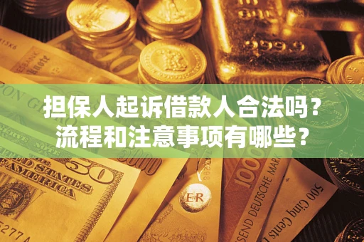 济南担保人起诉借款人合法吗？流程和注意事项有哪些？