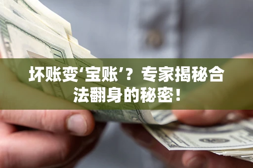 济南坏账变‘宝账’？专家揭秘合法翻身的秘密！