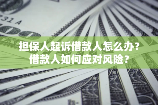 济南担保人起诉借款人怎么办？借款人如何应对风险？